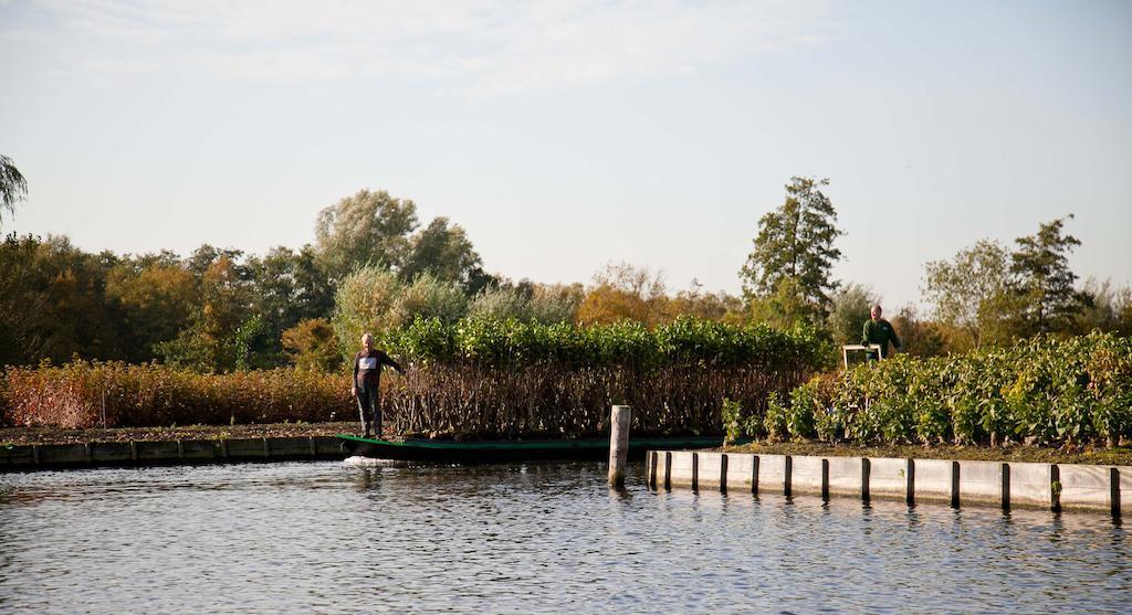 Chariot Aalsmeer